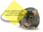 ����������� ������� `������ - ����������� 3