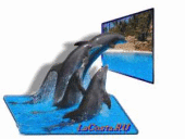 ������� � ����������: ����������� ������� ������ � LaCosta RU