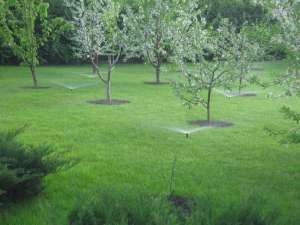 ����������� ������� ������ � ������� - ����������� 1