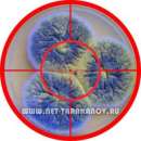 ������� � ����������: ����������� �������, ������ � �������� ��� �����. ����������� ���������.