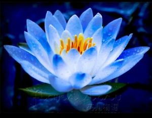 ����������� ������� ������. ������ � ������� ����� ��������! - ����������� 1