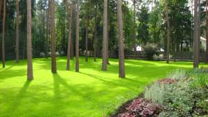 ����������� ������� �������� � �����, ���� �������� ���� - ����������� 1