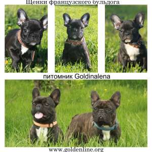 ����������� ������� �������� ������� - ����������� 1