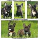 ������� � ����������: ����������� ������� �������� �������