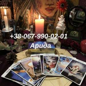 �����������. �������. ��������. �������� ����� �������� . ������ ��������. �������� �������� ��������. - ����������� 1