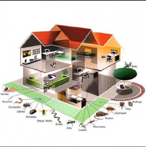 ����������� ������� ���������, ��������. - ����������� 1