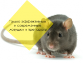 ����������� ������� ���������, ��������. - ����������� 2