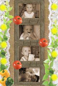 ����������� ������� ���������� - ����������� 1