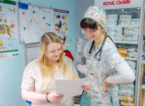 ����������� �������� - ����������� 1