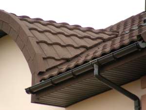 ����������� �������� Roser (����� �����). - ����������� 1