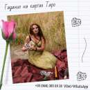 ����������� �������� �� ����. ������� ����.