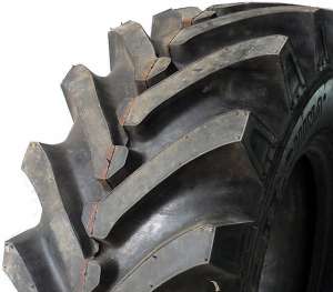 �����������, �������� �� �����������,�������� ����. - ����������� 1