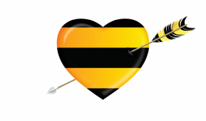 ����������� �������� ��� ������ � ������� - ����������� 1