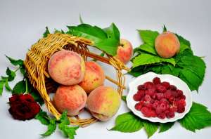 �����������. �������� ���� ���������� ������� - ����������� 1