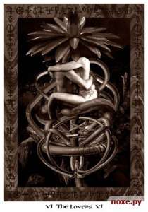 ����������� ��������. ����� �����, ��������, ���������. ������� �� ���� - ����������� 1