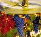 ������� � ����������: ����������� �������� �����, �������������� 100 �����