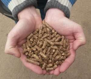 ����������� �������� ������ ������ �� ��������� � �������� ���. - ����������� 1