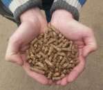 ������� � ����������: ����������� �������� ������ ������ �� ��������� � �������� ���.