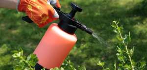 ����������� �������� ������ ��������. �������� ���. ���� �����"B&S Product" - ����������� 1