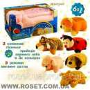 ������� � ����������: ����������� �������� ������ "��������� ���"