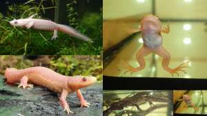 ����������� �������� �������� ��� ������ ��������� � ���� �� ������� - ����������� 1