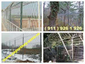 ����������� ��������, �������� , ������ . ������ � ������� � �����-���������� - ����������� 1