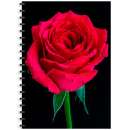 �����������, ��������, ���������, �������, ��������, ��������, ��������� ����� � ��������� ������ � ����� - ����������� 3