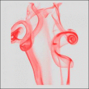 ������� � ����������: ����������� �������� ���������� ������������