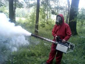 ����������� �������� . �����������. - ����������� 1