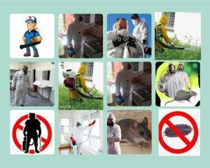 ����������� ��������� � �������� � ������ ����������� - ����������� 1