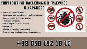 ����������� ��������� �� ��������� � ��������. - ����������� 1