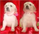 ����������� ��������� ����� - ����������� 2