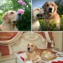 ����������� ��������� ����� - ����������� 3