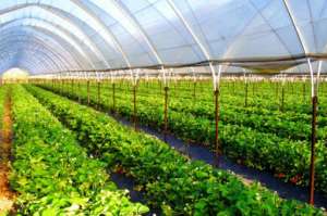 ����������� ��������� ����� Vatan Plastik - ����������� 1