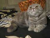 ������� � ����������: ����������� ��������� ������