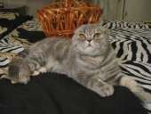 ����������� ��������� ������ - ����������� 3