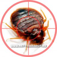 ����������� ���������, ������, ���� �� ���� ��� - ����������� 1