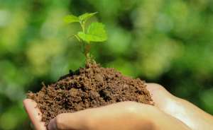 �����������, ���������. �������� ������ ��������. ������� ����������� - ����������� 1