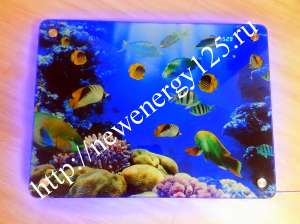 ����������� ��������� ��������� - ����������� 1