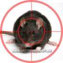 ������� � ����������: ����������� ���������. ����������� (������) ����, �����. ��������. ���: 8 (903) 623-79-19