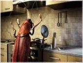 ����������� ���������. ����������� ���������