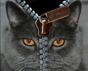 ����������� ���������� - ����������� 1