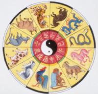 ����������� ����������. - ����������� 1