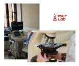 ������� � ����������: ����������� ���������� � ������