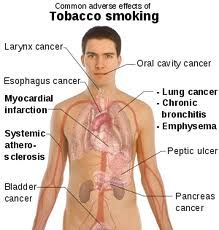 ����������� ���������� �� ������� �������������� ������� - ����������� 1