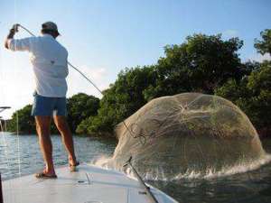 ����������� ���������� ���� FindFish - ����������� 1