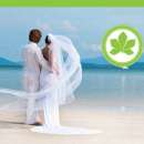 ����������� | ���������� ������������� | �������� - ����������� 3