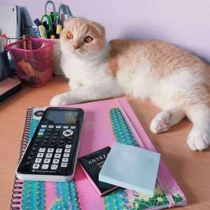 ����������� ����������� TI-84 Plus CE-T - ����������� 1