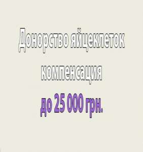 ����������� ����������� ��� ���������� �������������� - ����������� 1