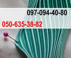 �����������. ����������� ����� ����. ����������� ���� ����������� ����� ���������! ������ �� ����� - ����, ����������� ����� � - ����������� 1